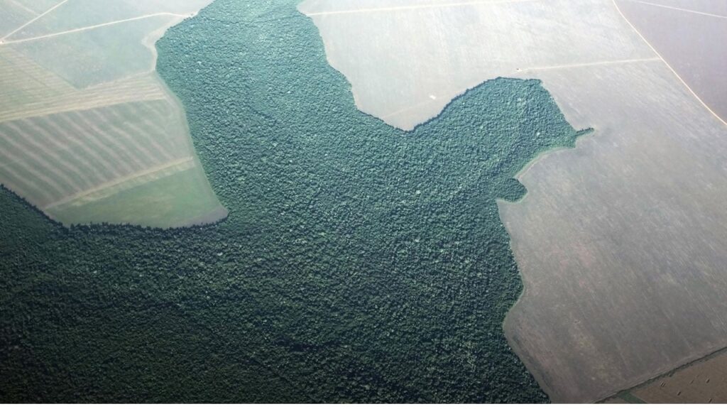 sistema faep alerta produtores