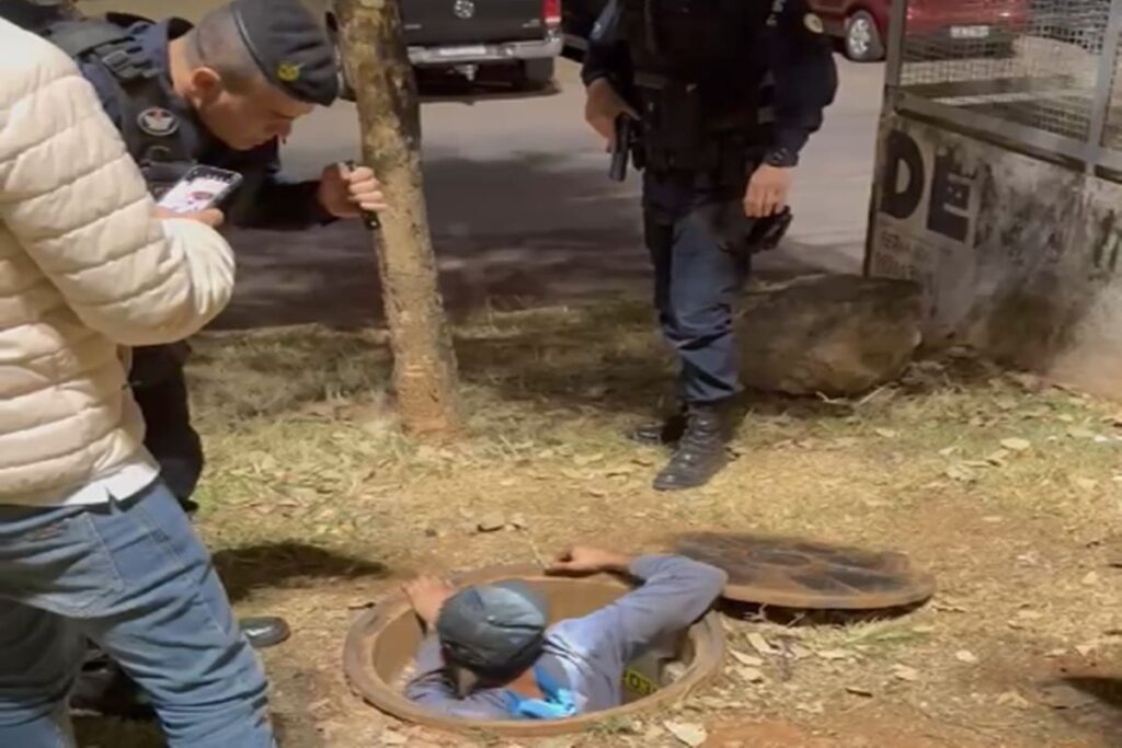 Imagem do artigo