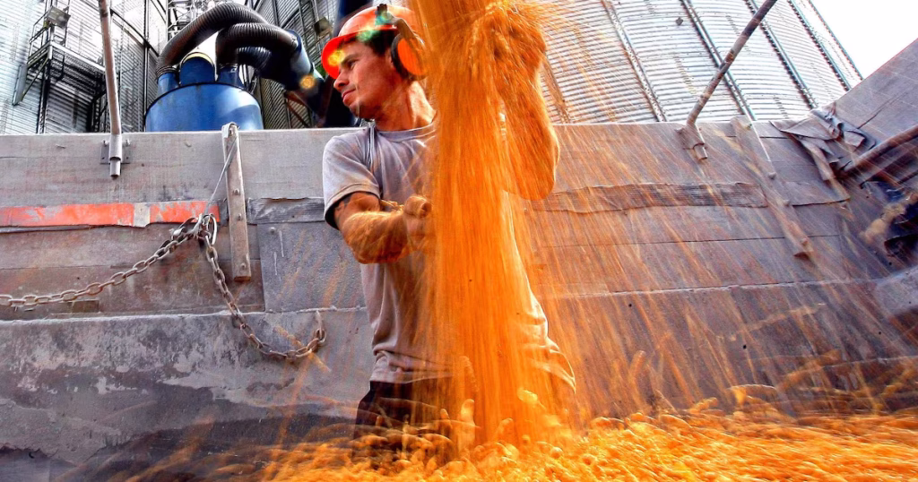 Agronegócio: De Recordes em 2025 à Estagnação em 2026, Queda de Produtividade