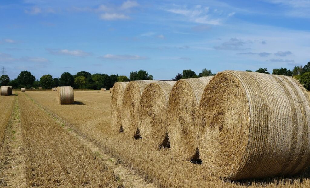 Brasil Amplia Acesso do Agronegócio a Novos Mercados Internacionais
