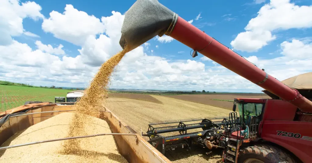 Desafios do Agronegócio e Perspectivas do Governo Lula em 2026