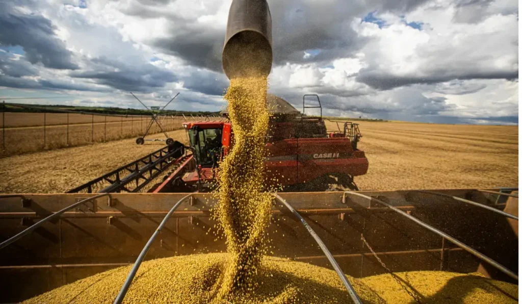 Desempenho do Agronegócio em 2026: Da Alta em 2025 à Estagnação Prevista