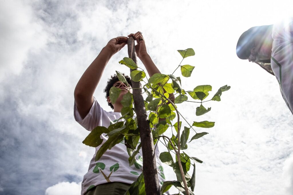 DF se Destaca em Ações de Preservação do Cerrado em 2025