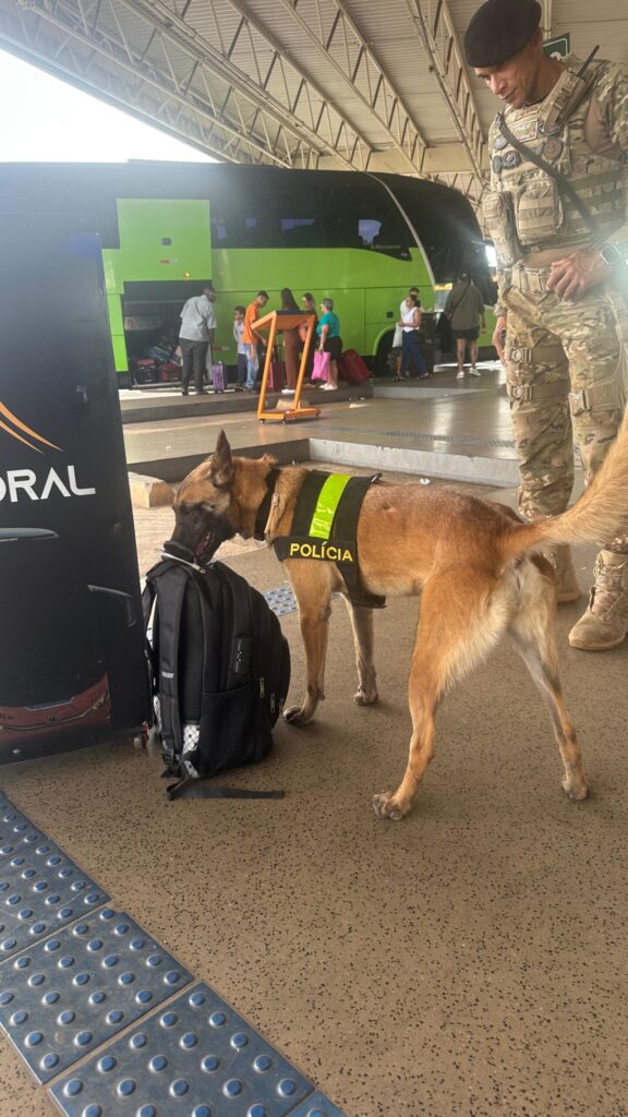 Policiamento Canino Intensifica Ações na Rodoviária do Plano Piloto