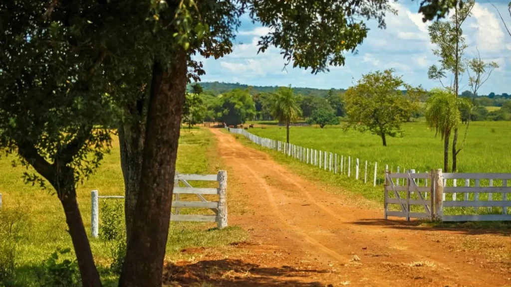 Recuperação Judicial e Crédito no Agronegócio: Um Desafio Crucial para o Futuro
