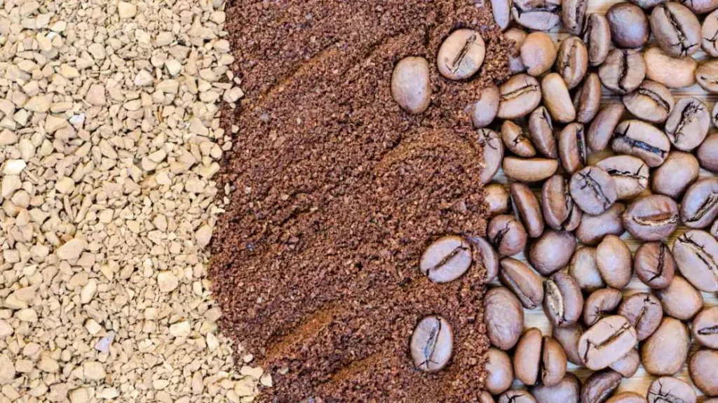 Acordo Mercosul-União Europeia: Agronegócio Brasileiro em Foco Acordo Mercosul-União Europeia: Agronegócio Brasileiro em Foco