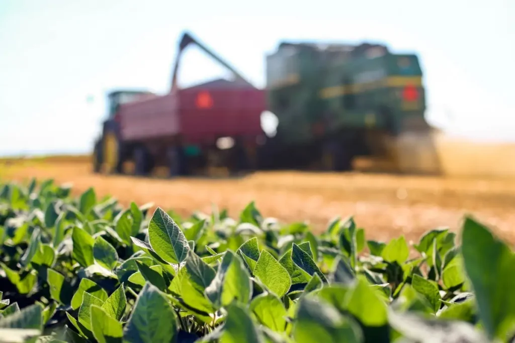 Agronegócio Brasileiro Sob Nova Ameaça de Taxas dos EUA: O Que Esperar?