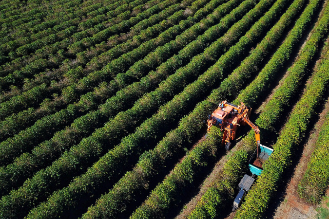 BRDE Alcança R$ 1,26 Bilhão em Contratações no Agronegócio do Paraná em 2025 BRDE Alcança R$ 1,26 Bilhão em Contratações no Agronegócio do Paraná em 2025