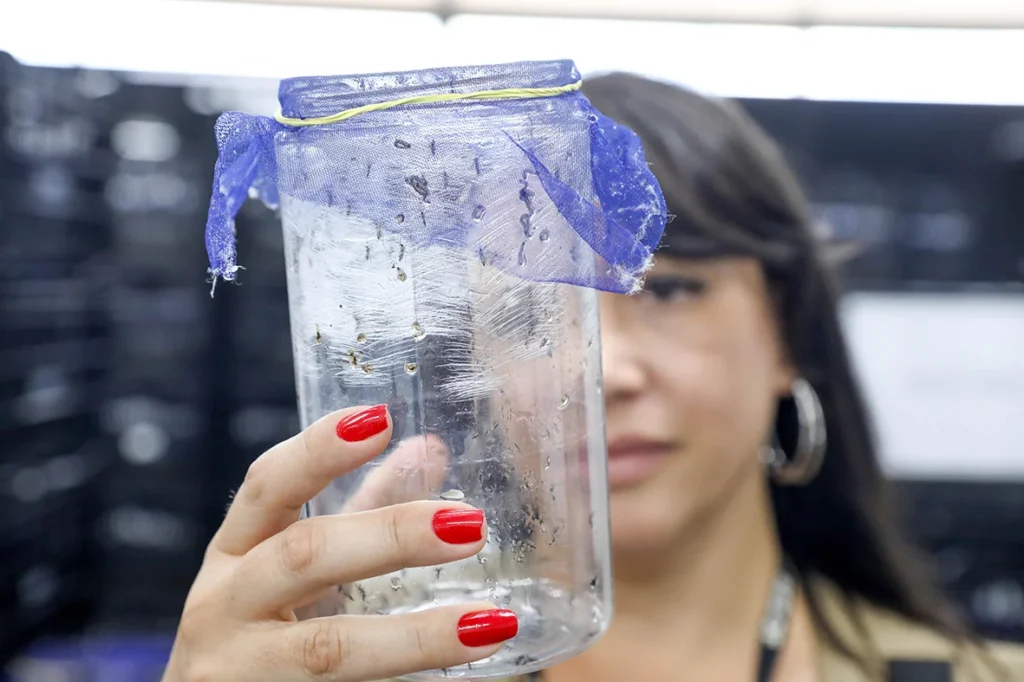 Combate à Dengue: GDF Inova com Drones e Mosquitos Wolbachia em 2025