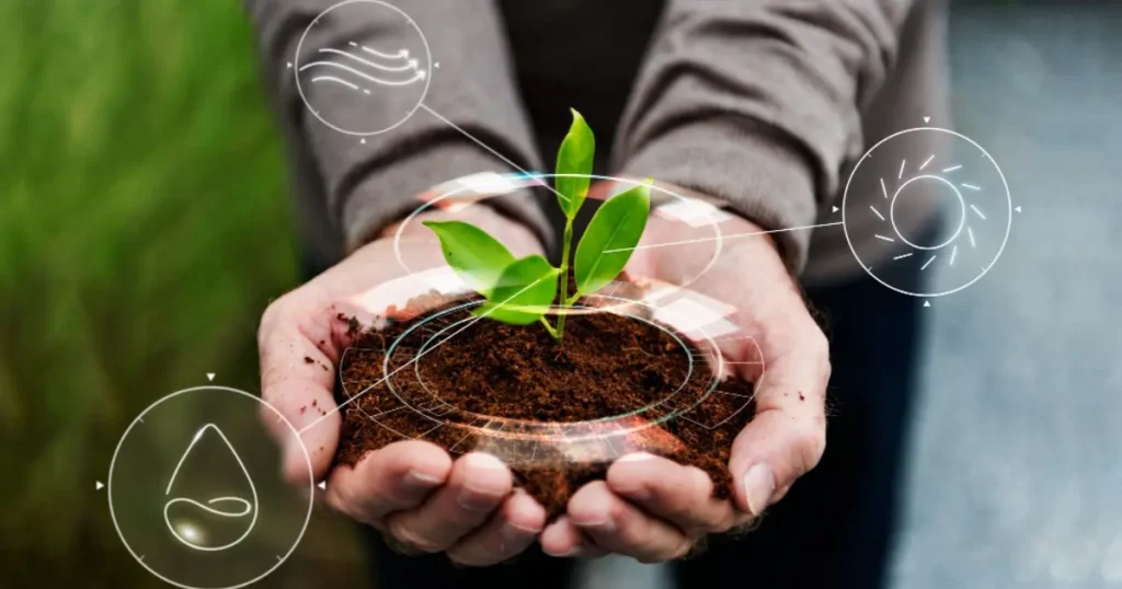 COP30 Destaca Agronegócio Brasileiro na Agenda Climática Global