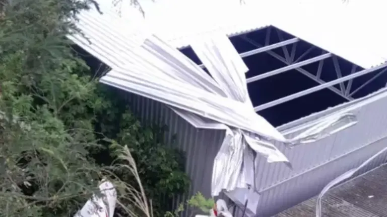 Corrida de Reis Mirim 2026: Uma Festa de Esporte e Alegria para 3 Mil Crianças Corrida de Reis Mirim 2026: Uma Festa de Esporte e Alegria para 3 Mil Crianças