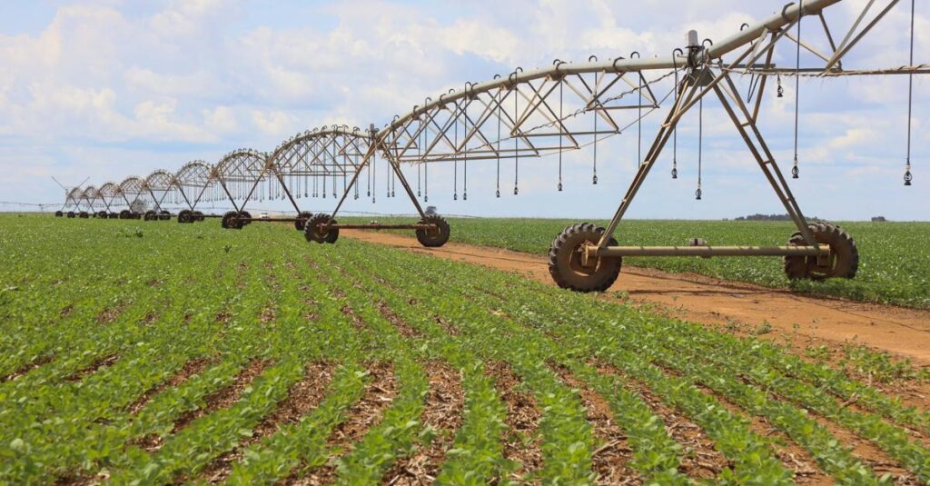 Exportações do Agronegócio Brasileiro Batem Recorde em 2025 com US$ 169 Bilhões
