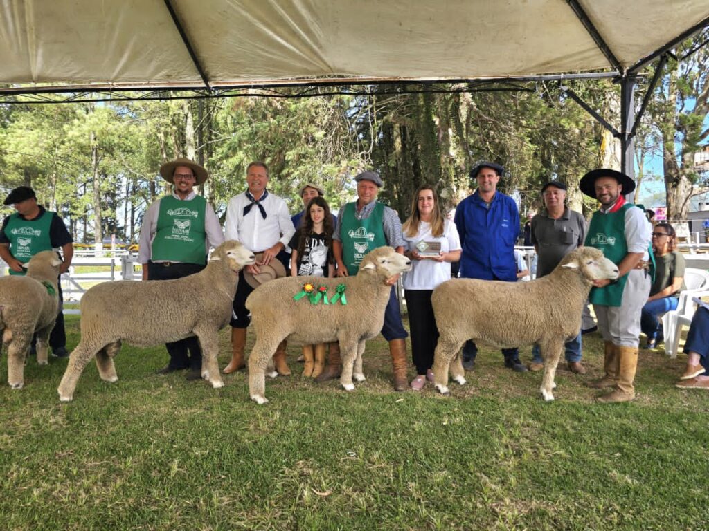 Feovelha 2026: Oportunidades no Agronegócio e Entretenimento no 'Feovelha Show'