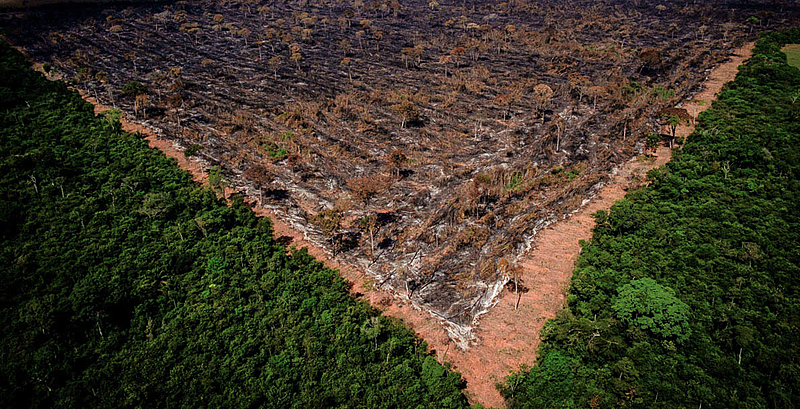 Gigantes do Agronegócio Rompem com a Moratória da Soja e Aumentam Risco de Desmatamento na Amazônia Gigantes do Agronegócio Rompem com a Moratória da Soja e Aumentam Risco de Desmatamento na Amazônia
