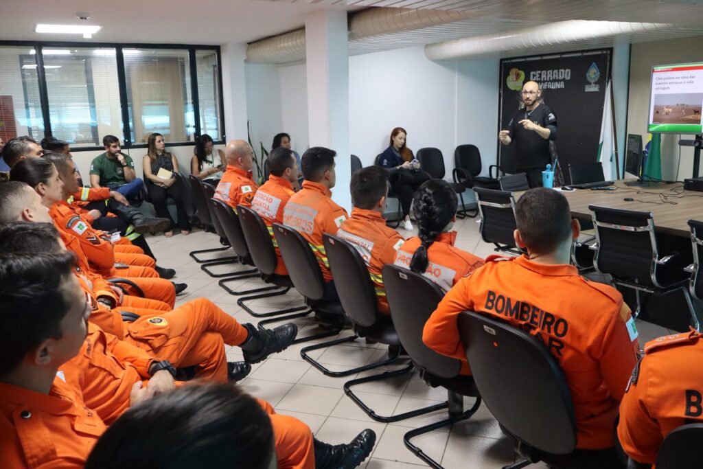 Hospital de Fauna Silvestre do Brasília Ambiental já atendeu mais de 4 mil animais em 2023