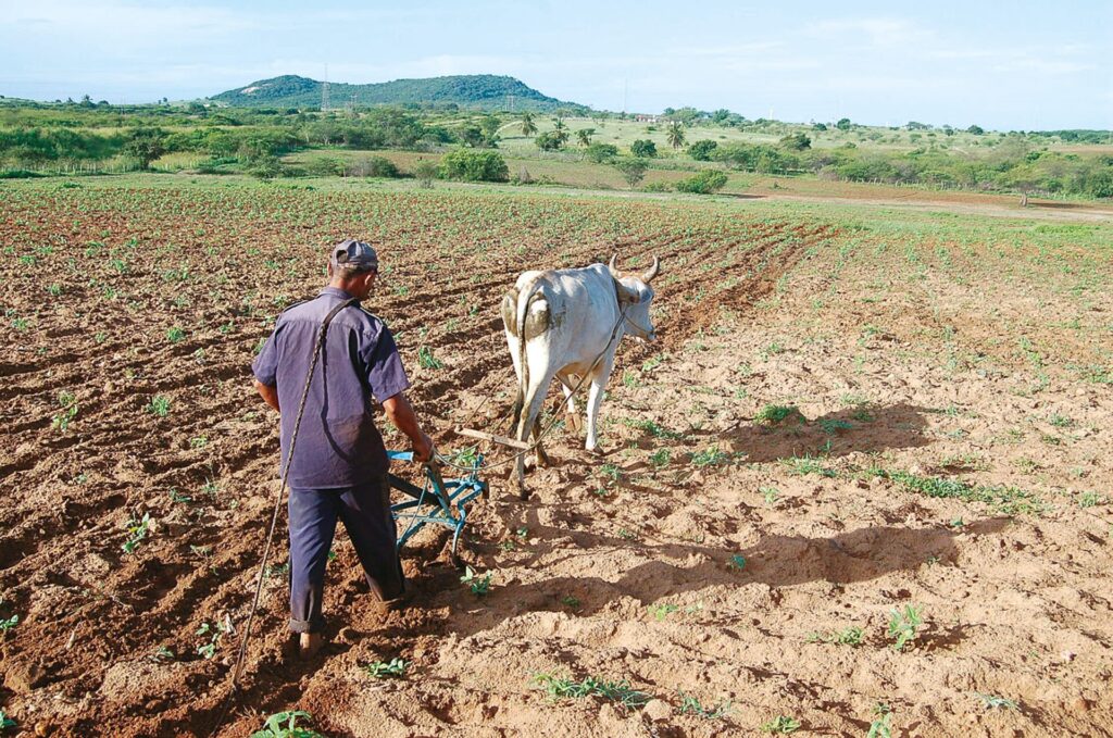 Inadimplência no Agronegócio do RN: Maior Índice do Nordeste e 4ª Posição Nacional