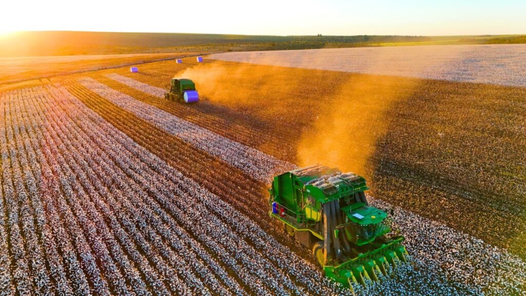 Novas Oportunidades no Agronegócio: Natter Oferece 27 Vagas em Mato Grosso