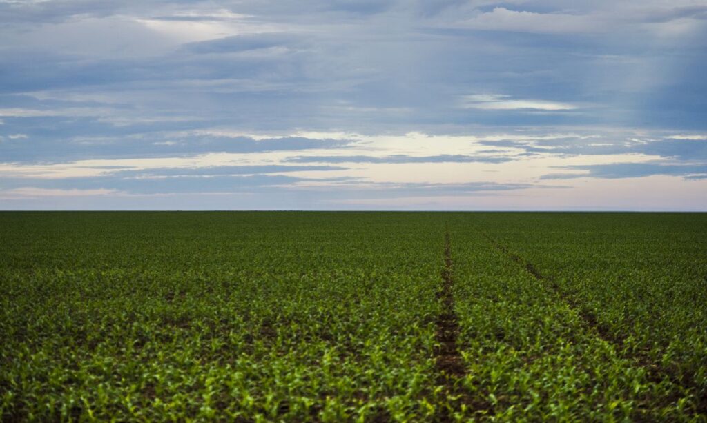 O Futuro do Agronegócio Brasileiro: Desafios e Oportunidades na Nova Era Internacional