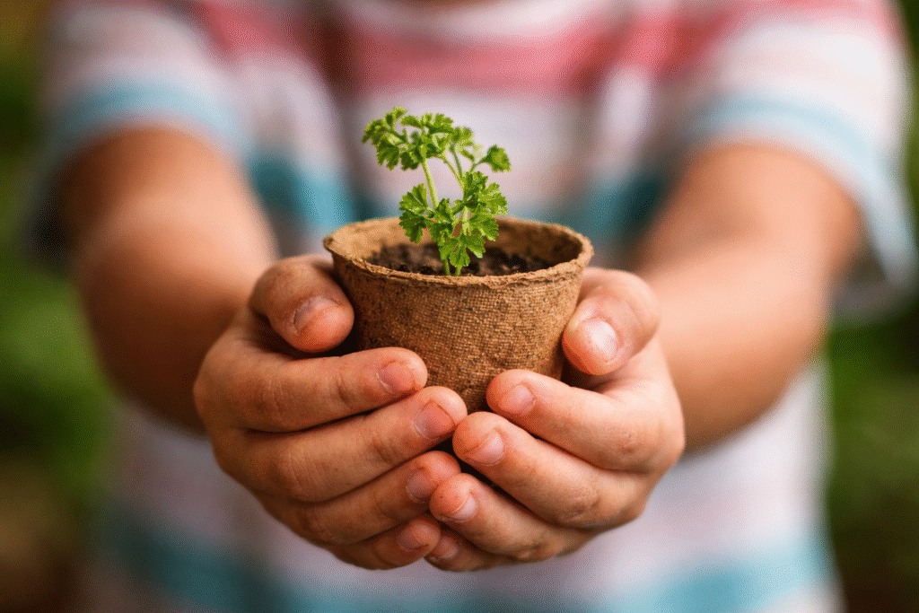 Oficinas de Plantio de Hortaliças Agitam as Férias das Crianças no Boulevard Shopping Brasília Oficinas de Plantio de Hortaliças Agitam as Férias das Crianças no Boulevard Shopping Brasília