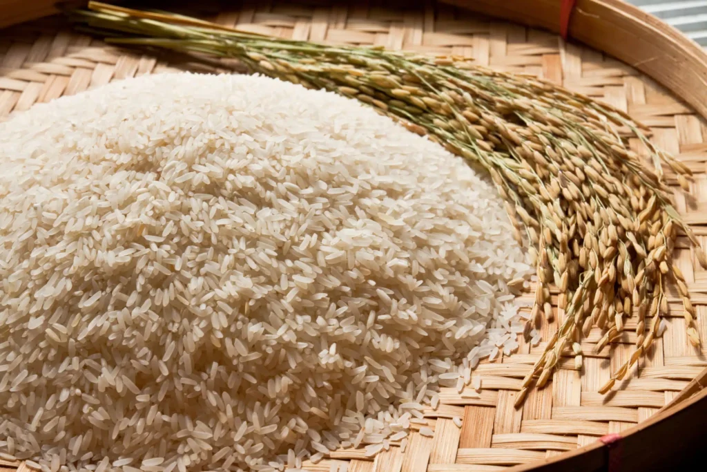 Produção de Arroz no Brasil e no Mundo deve Cair na Safra 2025/26 Após Nove Anos de Alta
