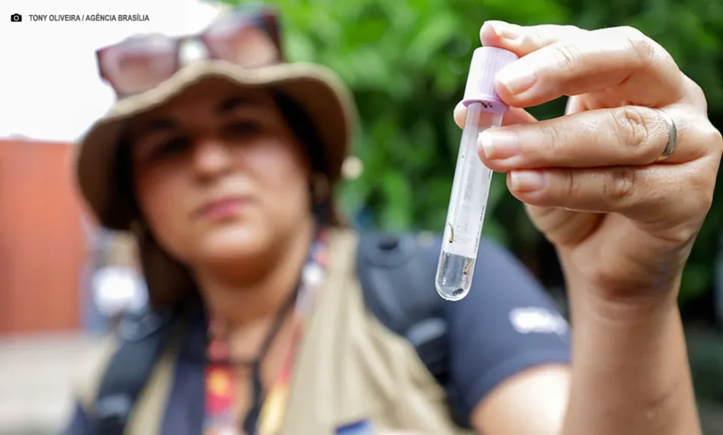 Queda de Casos de Dengue no DF: Redução de 96% em 2025