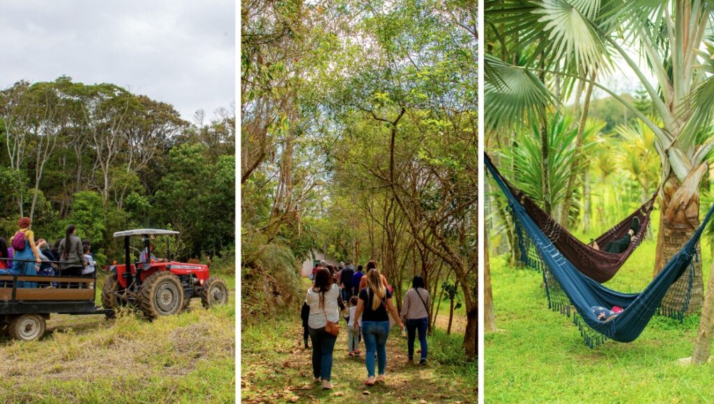 SP Produz: Conectando Sustentabilidade e Cultura em São Paulo