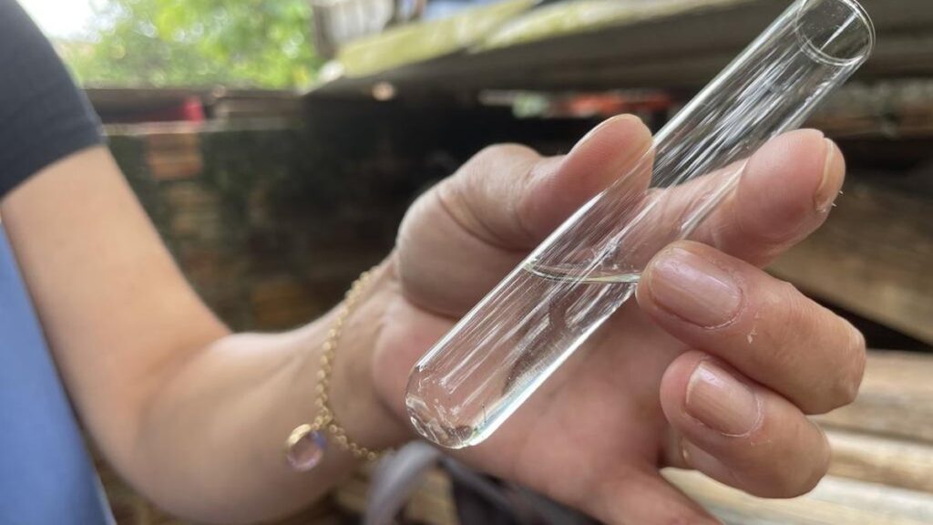 Aumento de Focos do Mosquito da Dengue em Rio Grande: Situação Alerta