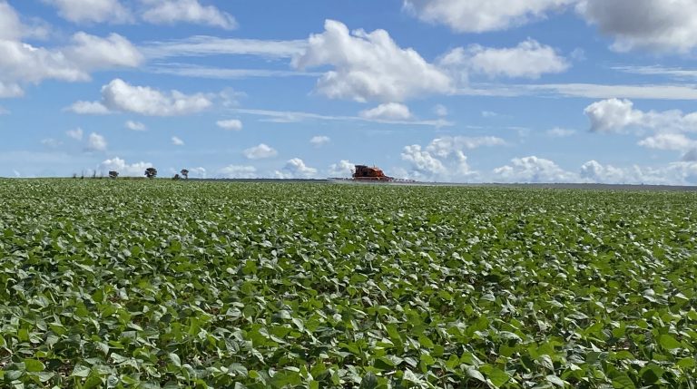 Colheita da Soja no Distrito Federal Começa em 2025: Expectativas e Oportunidades Colheita da Soja no Distrito Federal Começa em 2025: Expectativas e Oportunidades