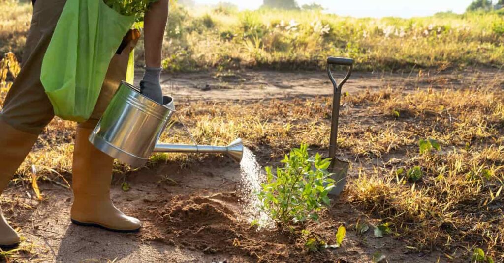 Consumo de Água no Agronegócio Brasileiro Supera o Uso Doméstico e Gera Pressão Hídrica Consumo de Água no Agronegócio Brasileiro Supera o Uso Doméstico e Gera Pressão Hídrica