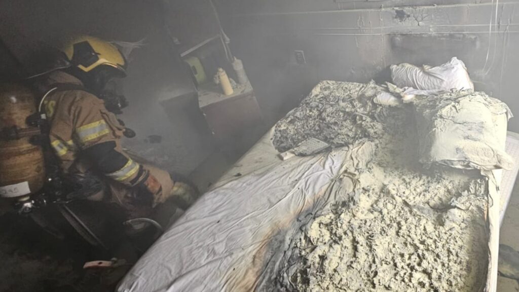 Gatos Resgatados em Incêndio em Apartamento na Asa Norte, Brasília