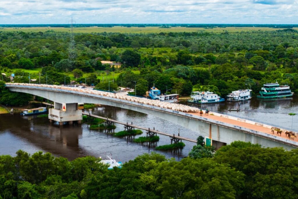 Registros da Cultura Pantaneira: Fotografias que Encantam em MS Registros da Cultura Pantaneira: Fotografias que Encantam em MS