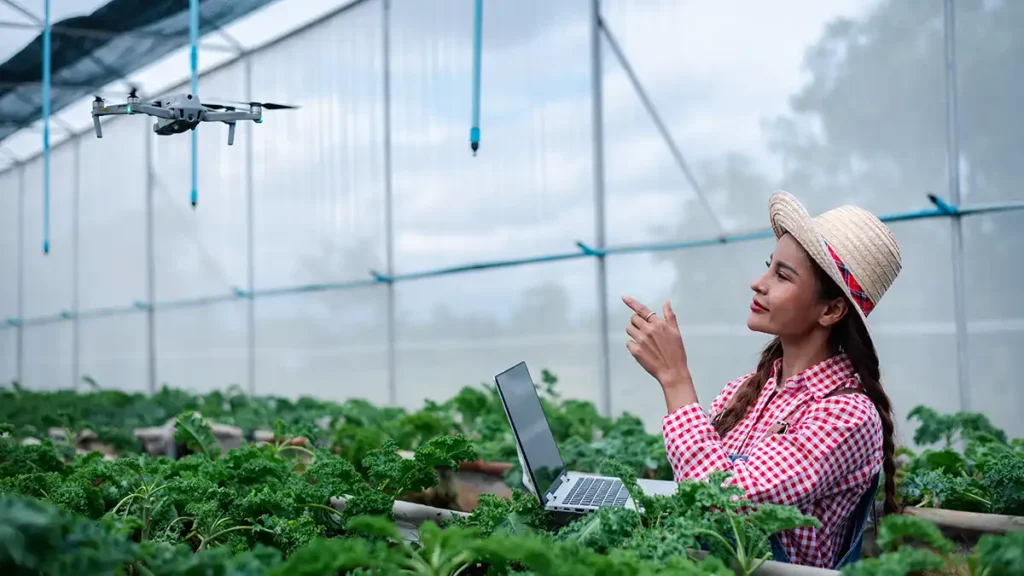Transformação Digital no Agronegócio Brasileiro: Conectividade como Desafio Crucial