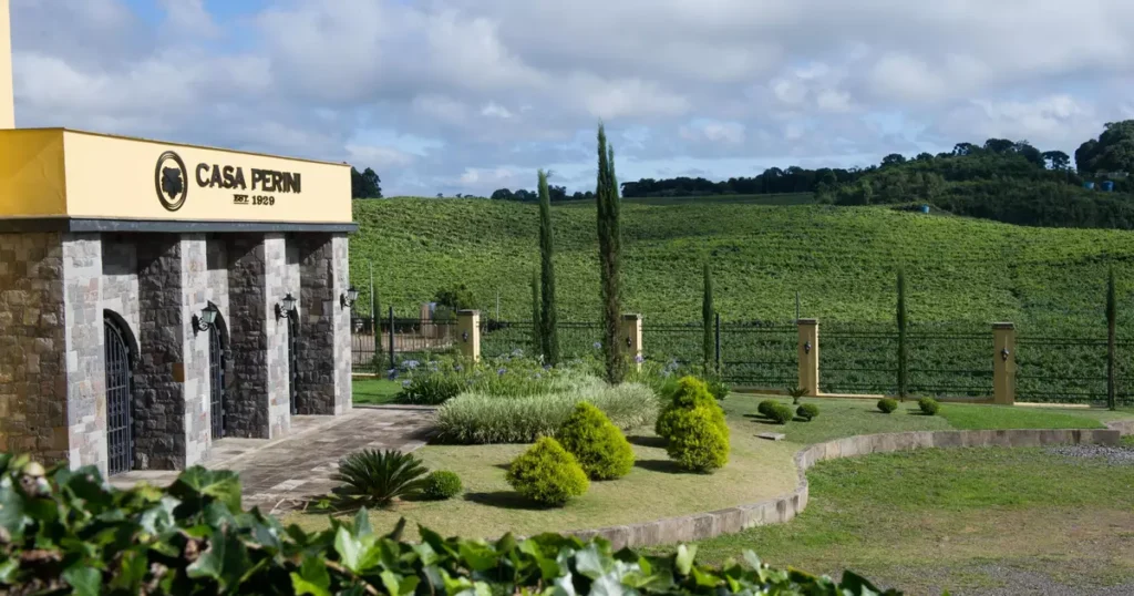 Vivencie a Colheita: Casa Perini Promove a Saga da Uva