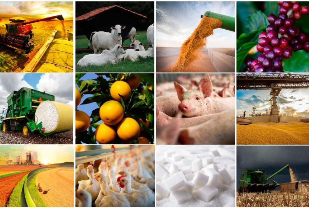 Agronegócio no Brasil: Liderança em Reputação Corporativa e Crescimento Econômico em 2026 Agronegócio no Brasil: Liderança em Reputação Corporativa e Crescimento Econômico em 2026