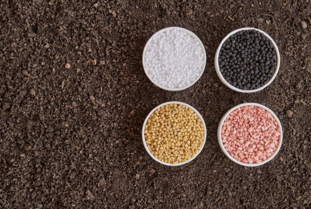 Alta nos Custos de Fertilizantes Impacta Agricultura Brasileira em 2026 Alta nos Custos de Fertilizantes Impacta Agricultura Brasileira em 2026