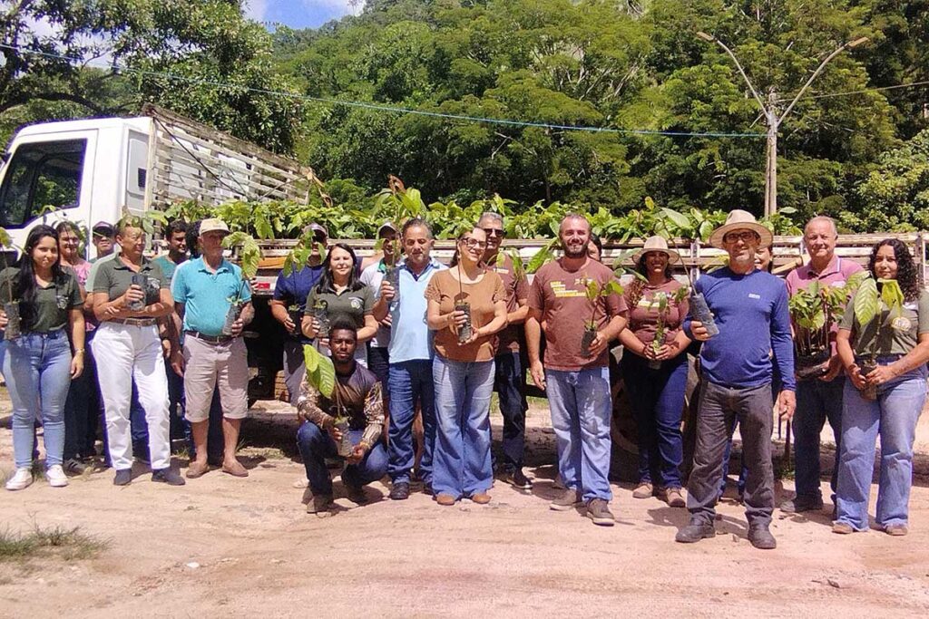 Cacau em Conceição do Castelo: Entregas de 3 mil Mudas para Produtores Rurais
