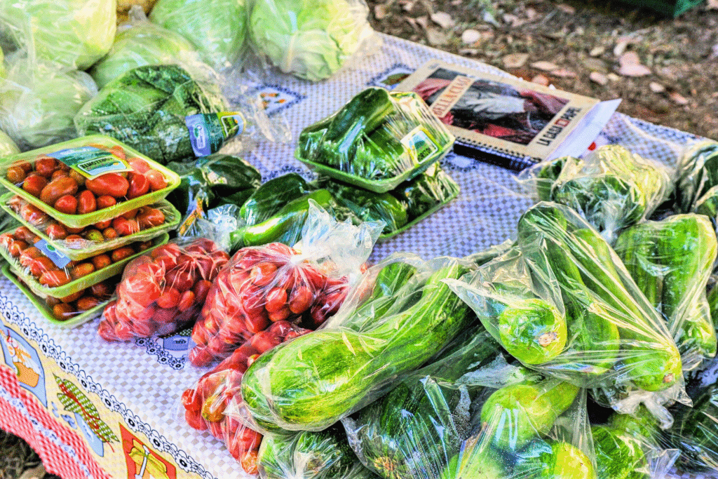 Chamamento Público no Plano Piloto: Oportunidade para Feirantes em Três Feiras Livres