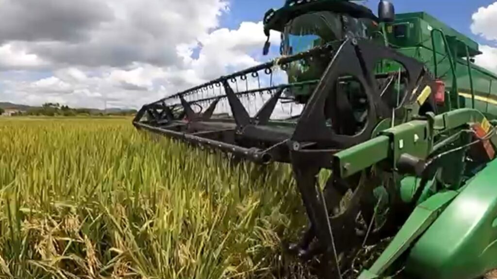 Cooper News SC: A Nova Resenha do Agronegócio na TVBV Cooper News SC: A Nova Resenha do Agronegócio na TVBV