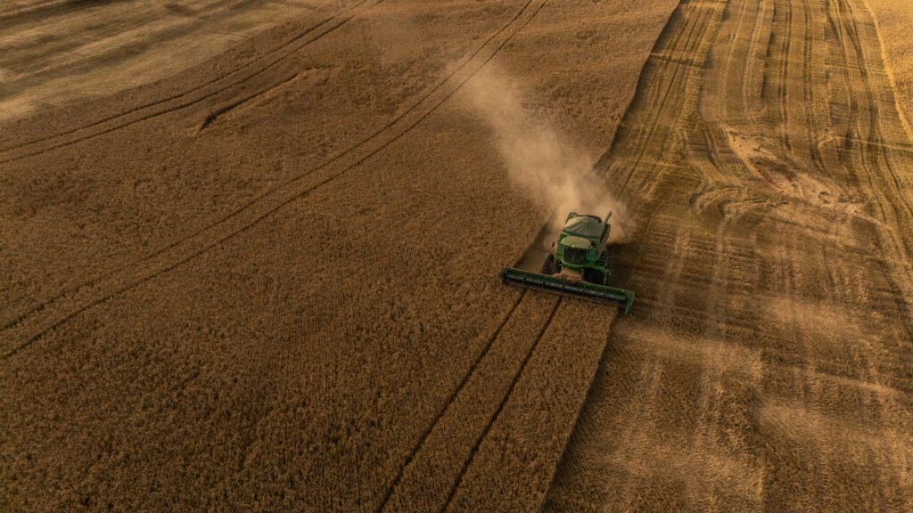 Crescimento da Produção de Cevada no Brasil: Oportunidades e Desafios Crescimento da Produção de Cevada no Brasil: Oportunidades e Desafios