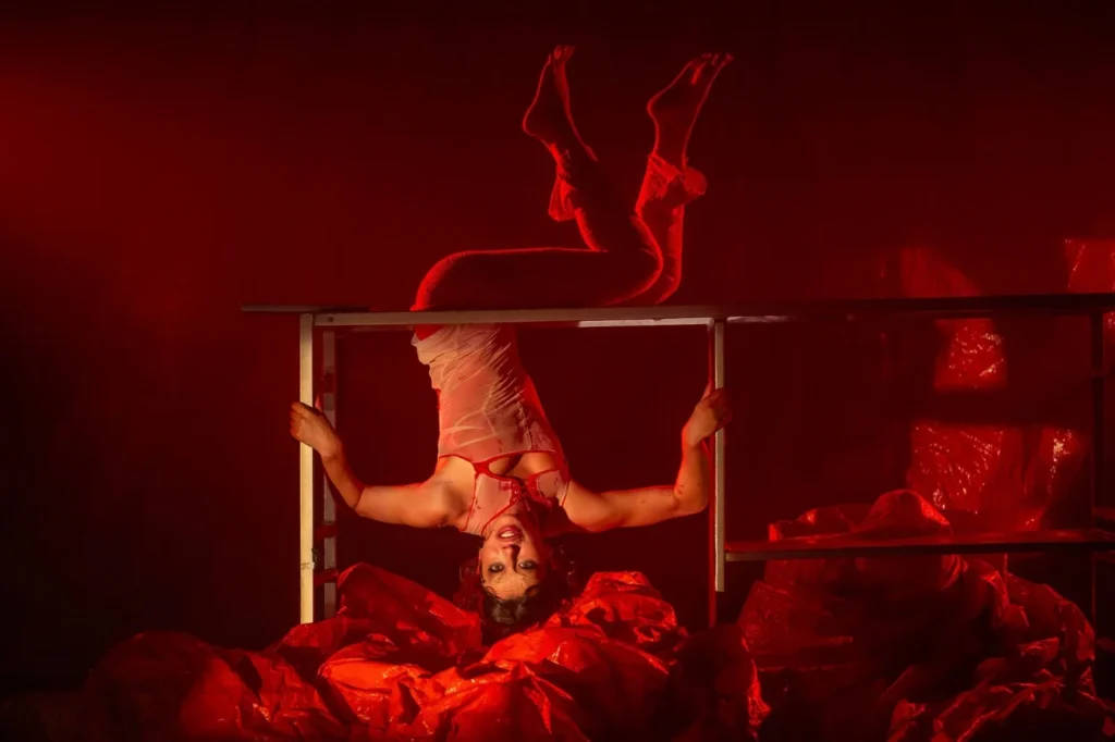 Cultura em Movimento: Circo, Música e Exposições no DF Neste Fim de Semana