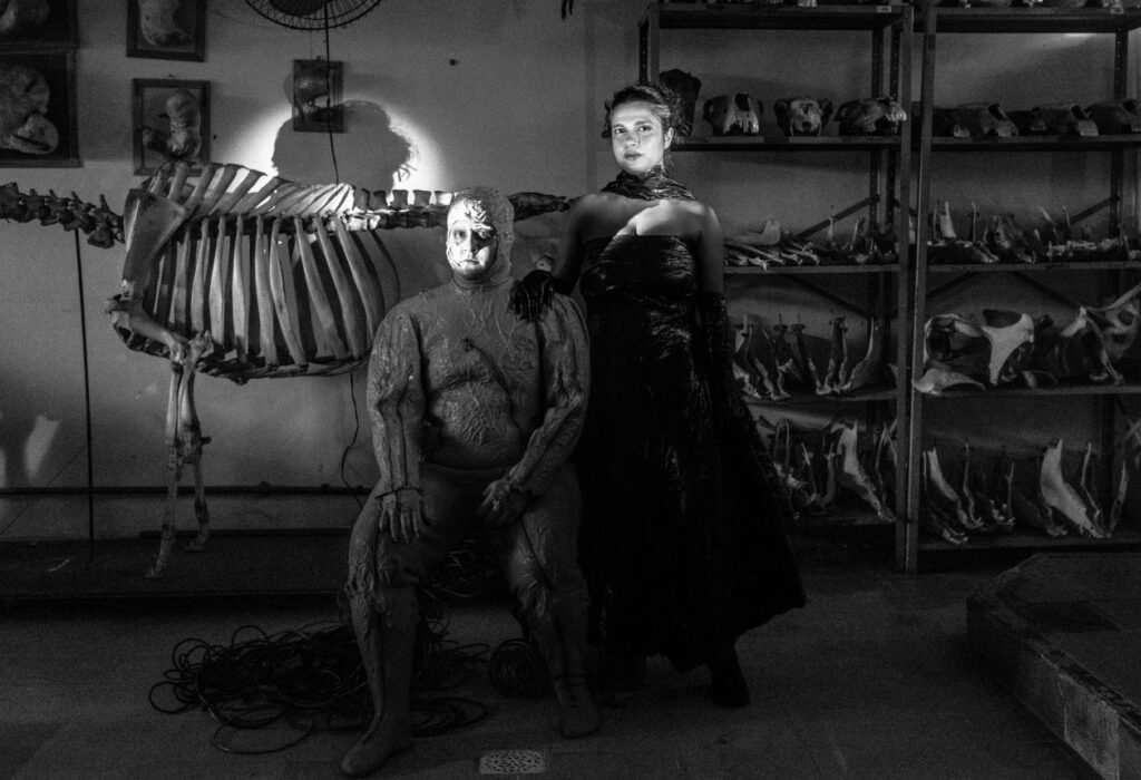 Fins de Semana Vibrantes no DF: Aniversário de Ceilândia, K-Pop e Tributos a ABBA