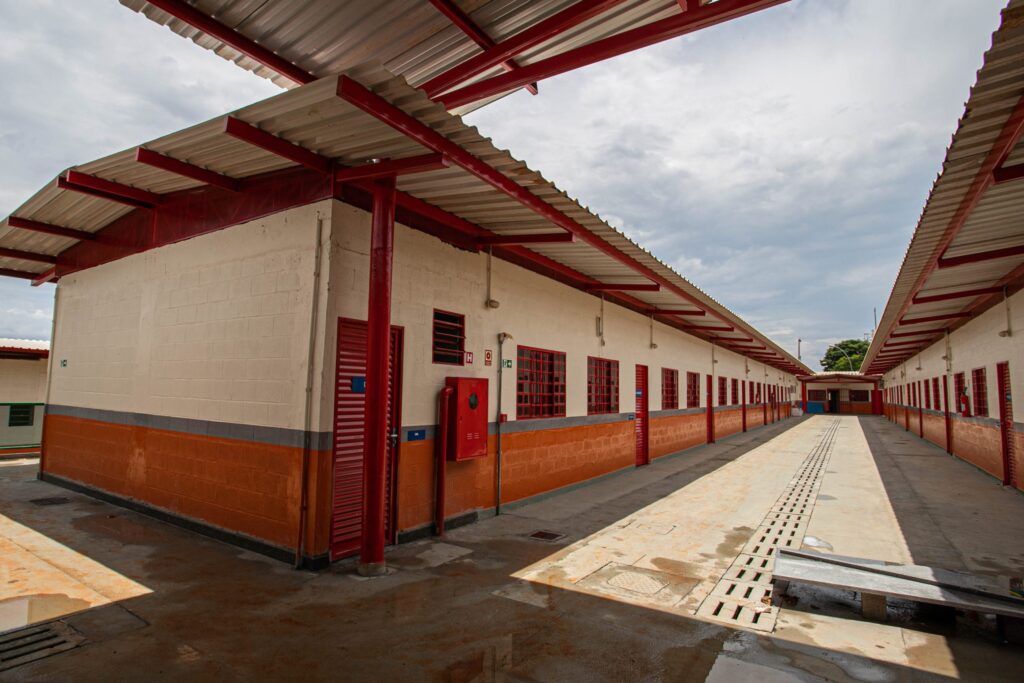 GDF Entrega 14 Novas Escolas entre 2020 e 2025: Avanços na Educação do DF