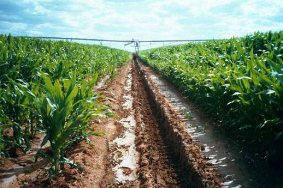 Governo de São Paulo Apresenta Projeto para Reforçar o Fundo do Agronegócio Governo de São Paulo Apresenta Projeto para Reforçar o Fundo do Agronegócio