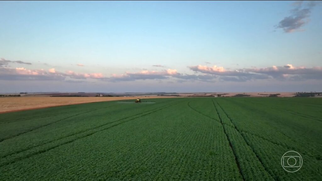 Guerra no Oriente Médio Eleva Preços de Fertilizantes e Preocupa Agronegócio Brasileiro
