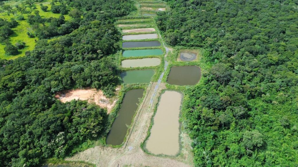 Inovação no Agronegócio: Nova Unidade da Embrapa Impulsiona Produção Familiar em Mato Grosso