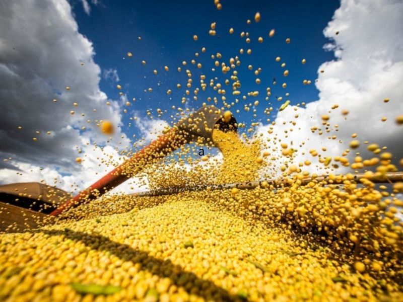 Nova Regulamentação do OEA da Receita Federal: Benefícios Tributários para o Agronegócio Nova Regulamentação do OEA da Receita Federal: Benefícios Tributários para o Agronegócio