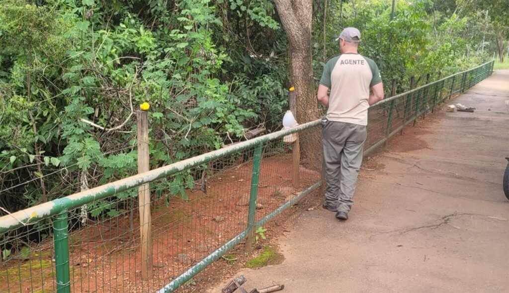 Parque Ecológico Águas Claras Retira Comedouros e Protege a Fauna Silvestre