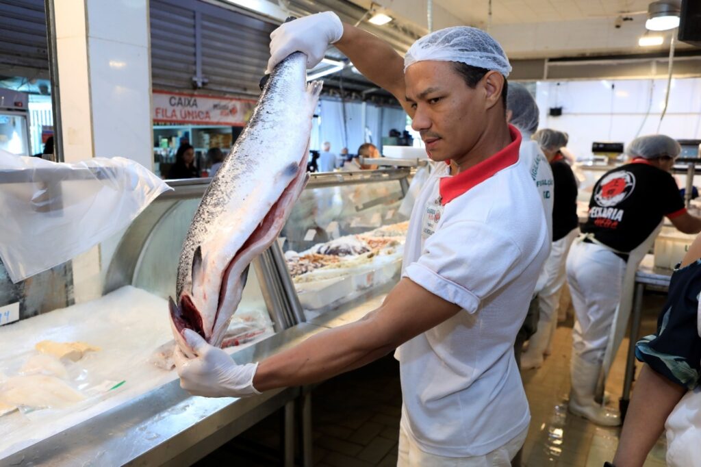 Semana Santa Aquece Vendas de Pescados no DF: Expectativas em Alta Semana Santa Aquece Vendas de Pescados no DF: Expectativas em Alta