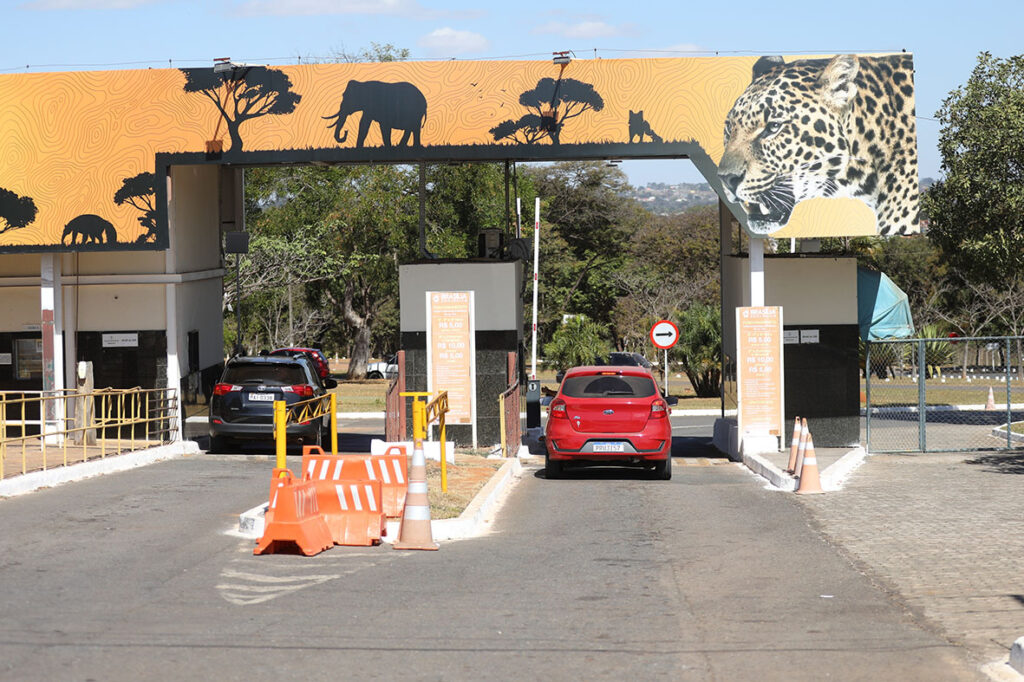 Zoológico de Brasília Oferece Entrada Gratuita para Mulheres Neste Sábado (7)