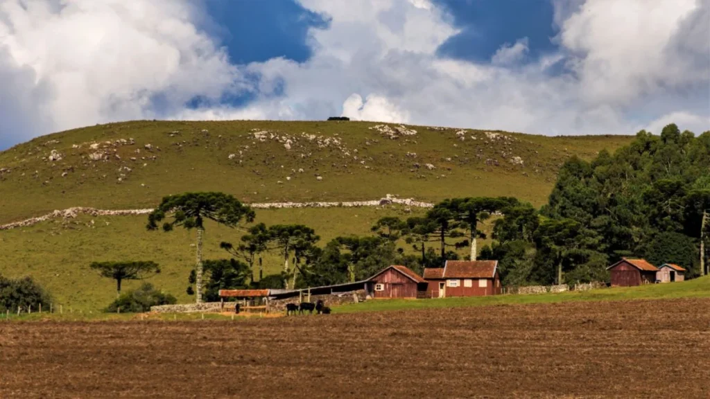 Abuso Patrimonial no Agronegócio: O Crime Silencioso Que Atinge Famílias e Propriedades